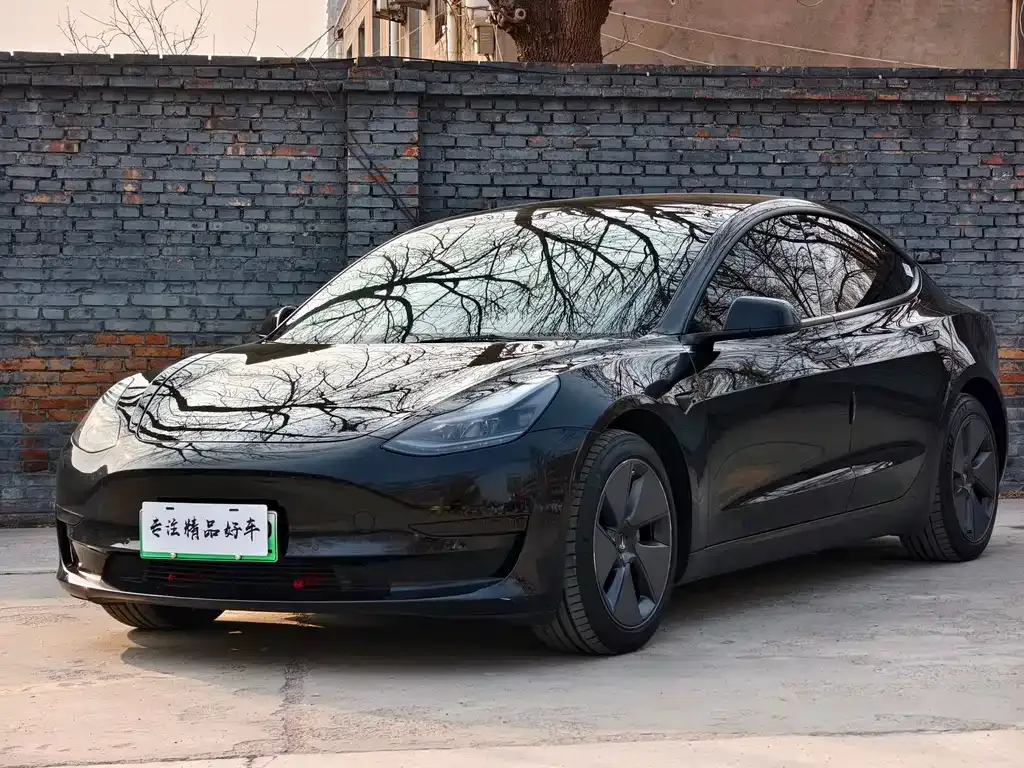 Tesla Model 3 2021 из CN, фото 1