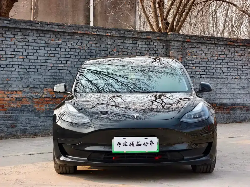Tesla Model 3 2021 из CN, фото 4