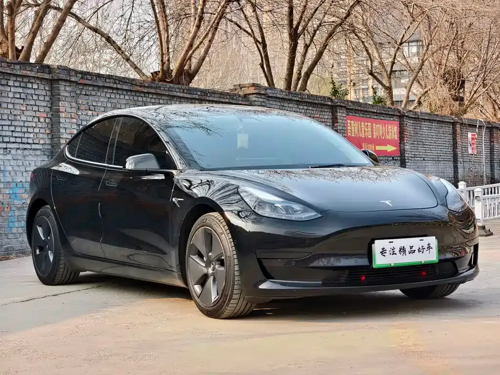 Tesla Model 3 2021 из CN, фото 3
