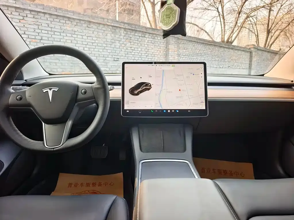 Tesla Model 3 2021 из CN, фото 6
