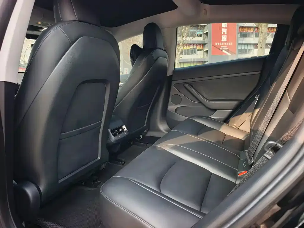 Tesla Model 3 2021 из CN, фото 2