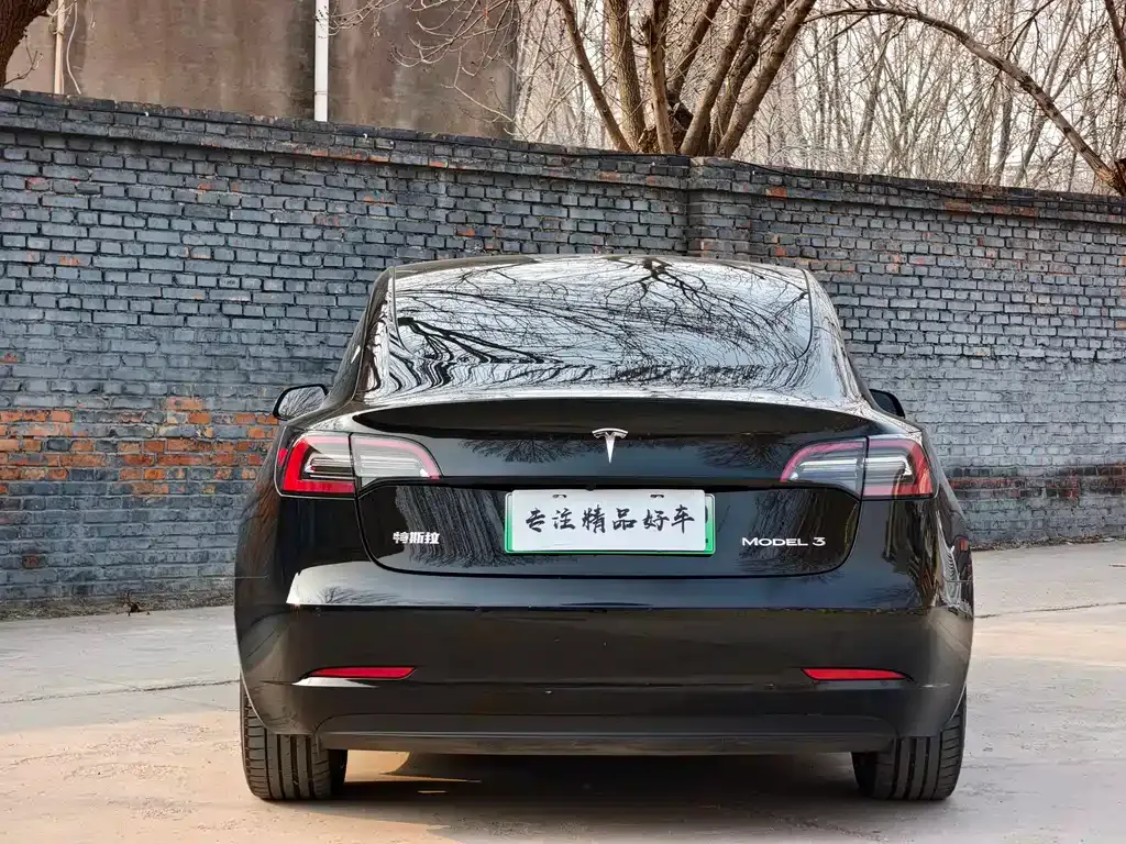 Tesla Model 3 2021 из CN, фото 7