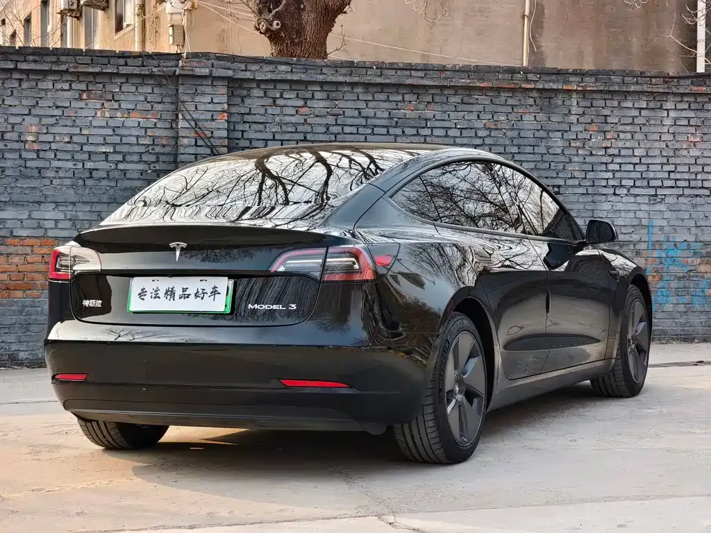 Tesla Model 3 2021 из CN, фото 8