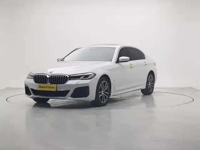 BMW 5 Series 2021 из CN, фото 1