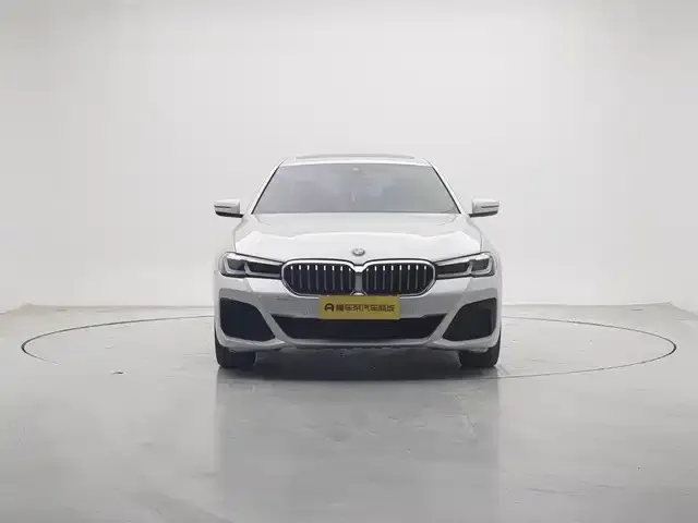 BMW 5 Series 2021 из CN, фото 7