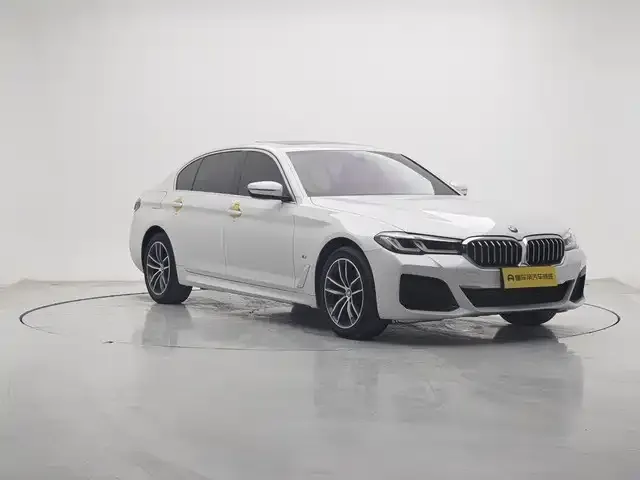 BMW 5 Series 2021 из CN, фото 8