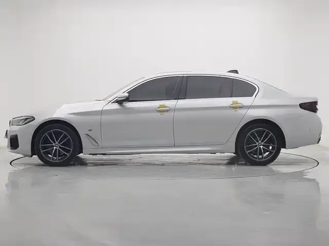 BMW 5 Series 2021 из CN, фото 4