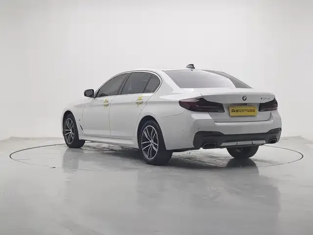 BMW 5 Series 2021 из CN, фото 5