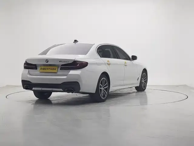 BMW 5 Series 2021 из CN, фото 2