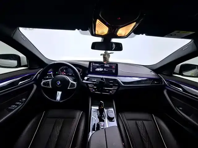 BMW 5 Series 2021 из CN, фото 9