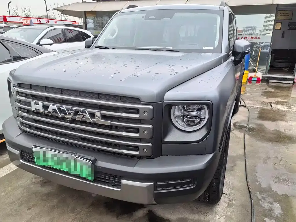 Haval Menglong New Energy 2024 из CN, фото 6