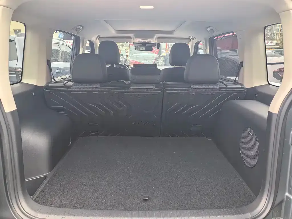 Haval Menglong New Energy 2024 из CN, фото 3