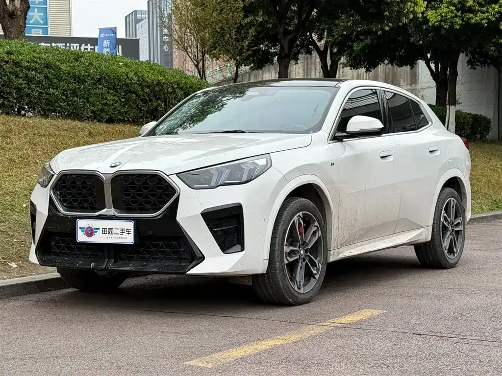 BMW X2 (Import) 2025 из CN, фото 1