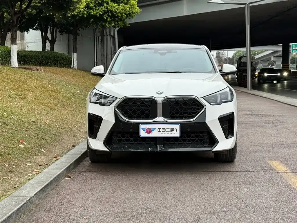 BMW X2 (Import) 2025 из CN, фото 5