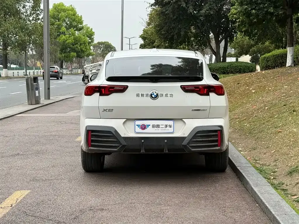 BMW X2 (Import) 2025 из CN, фото 9