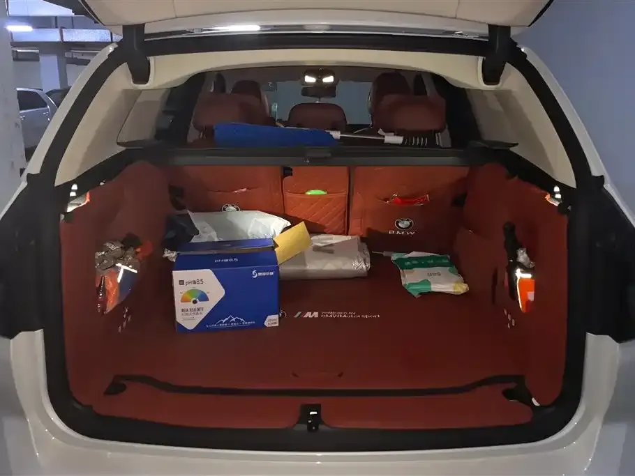 BMW X3 2024 из CN, фото 2
