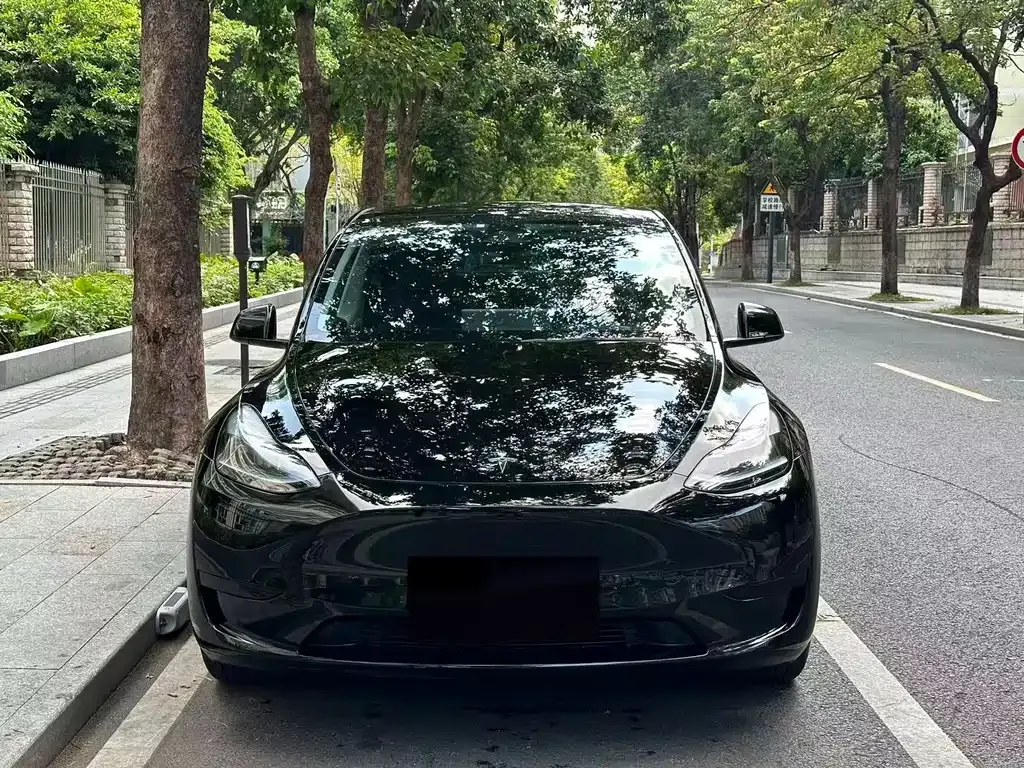 Tesla Model Y — фото 10
