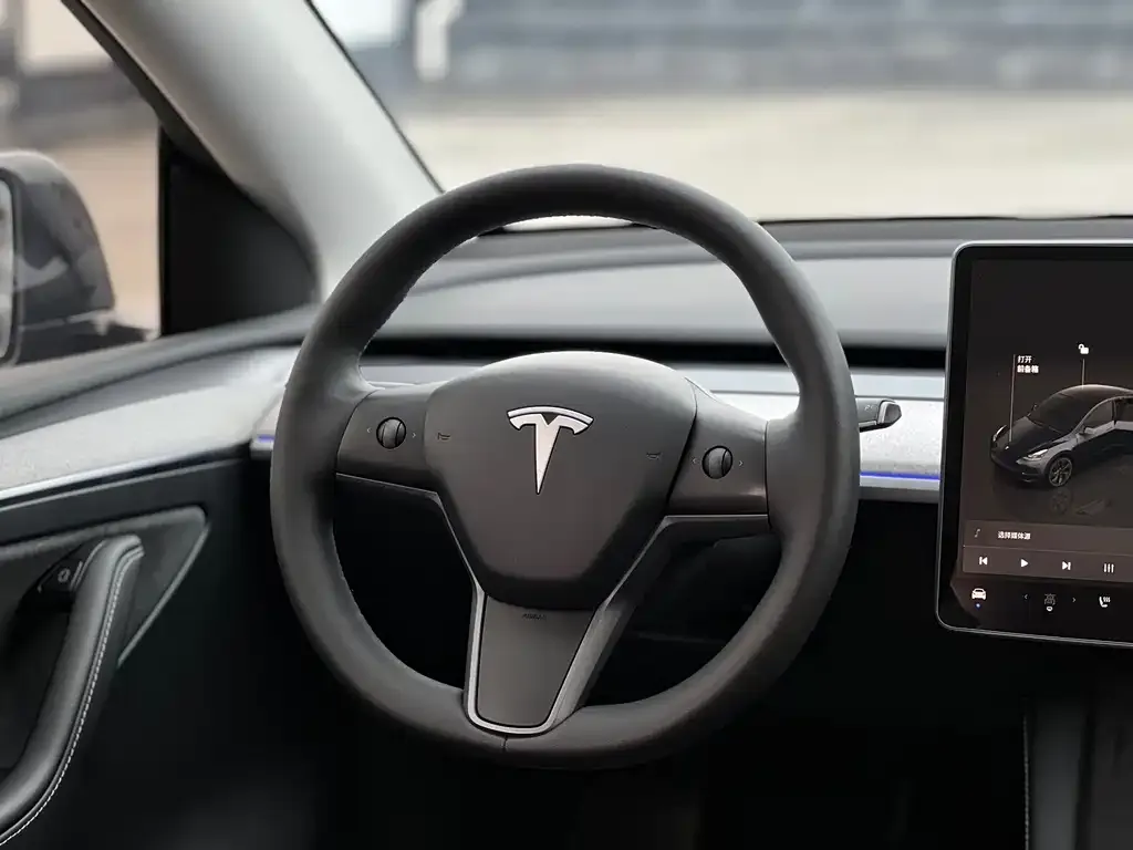 Tesla Model Y 2024 из CN, фото 2