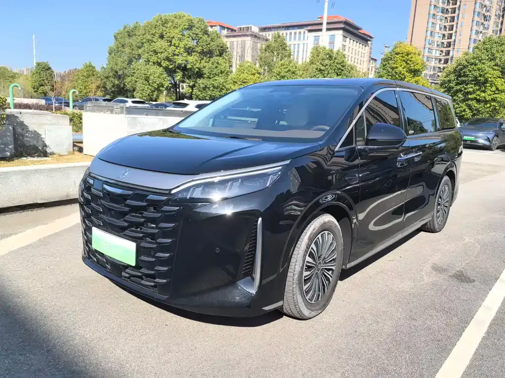 BYD Xia 2025 из CN, фото 1