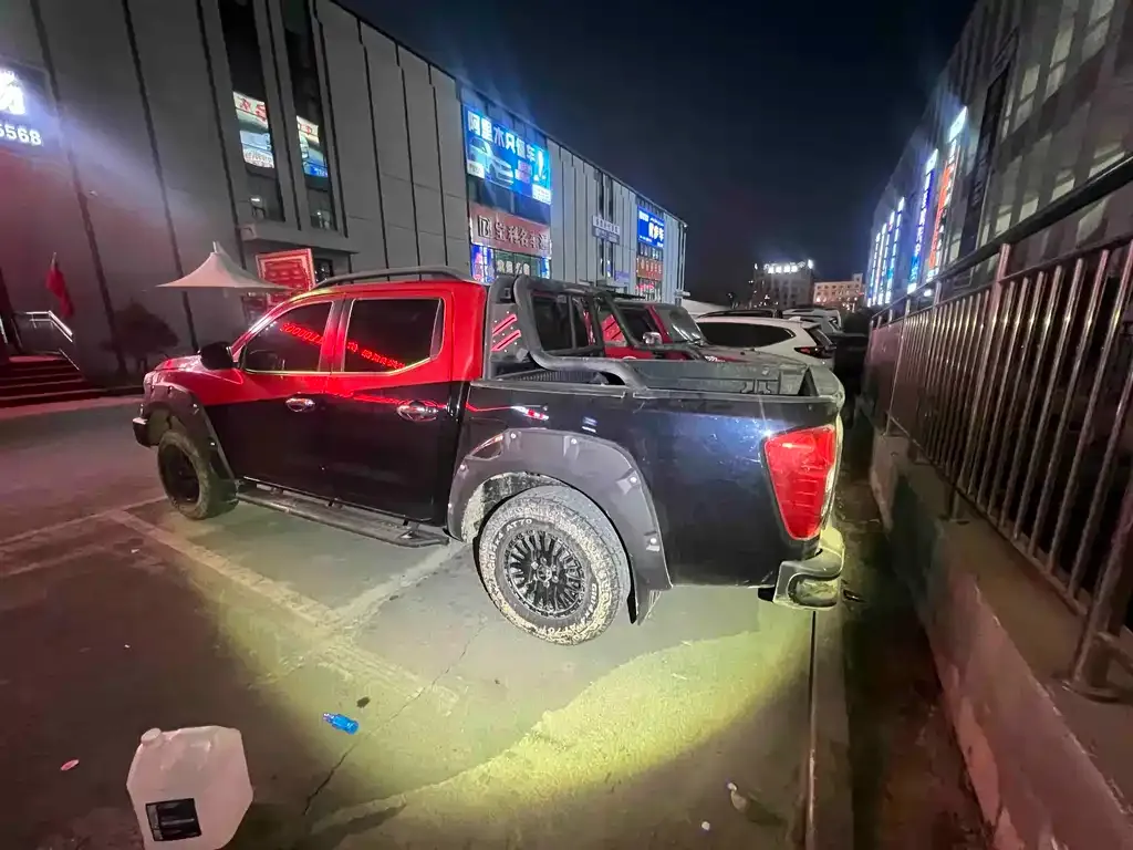 Dongfeng Rich 6 2023 из CN, фото 3