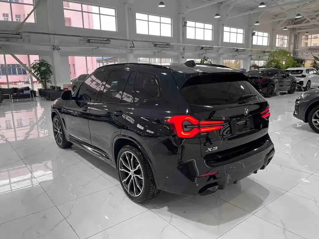 BMW X3 2023 из CN, фото 6