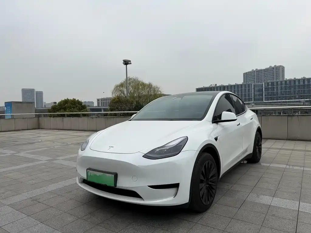 Tesla Model Y 2023 из CN, фото 1