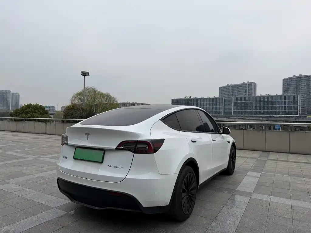 Tesla Model Y 2023 из CN, фото 3