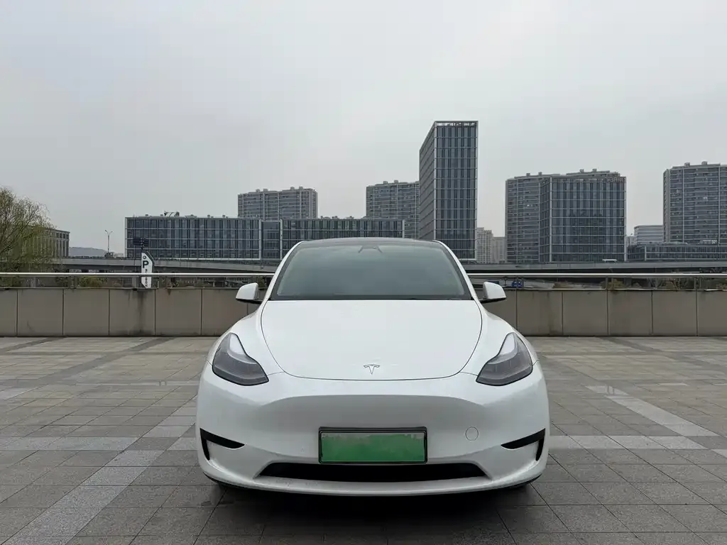 Tesla Model Y 2023 из CN, фото 8