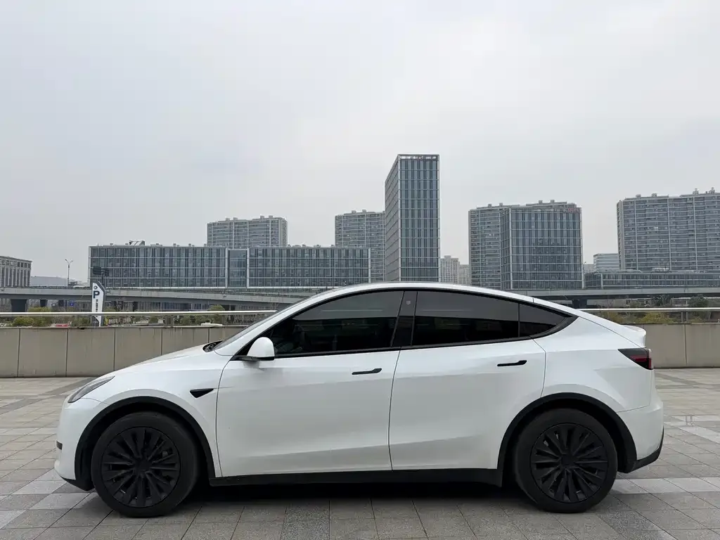 Tesla Model Y 2023 из CN, фото 6