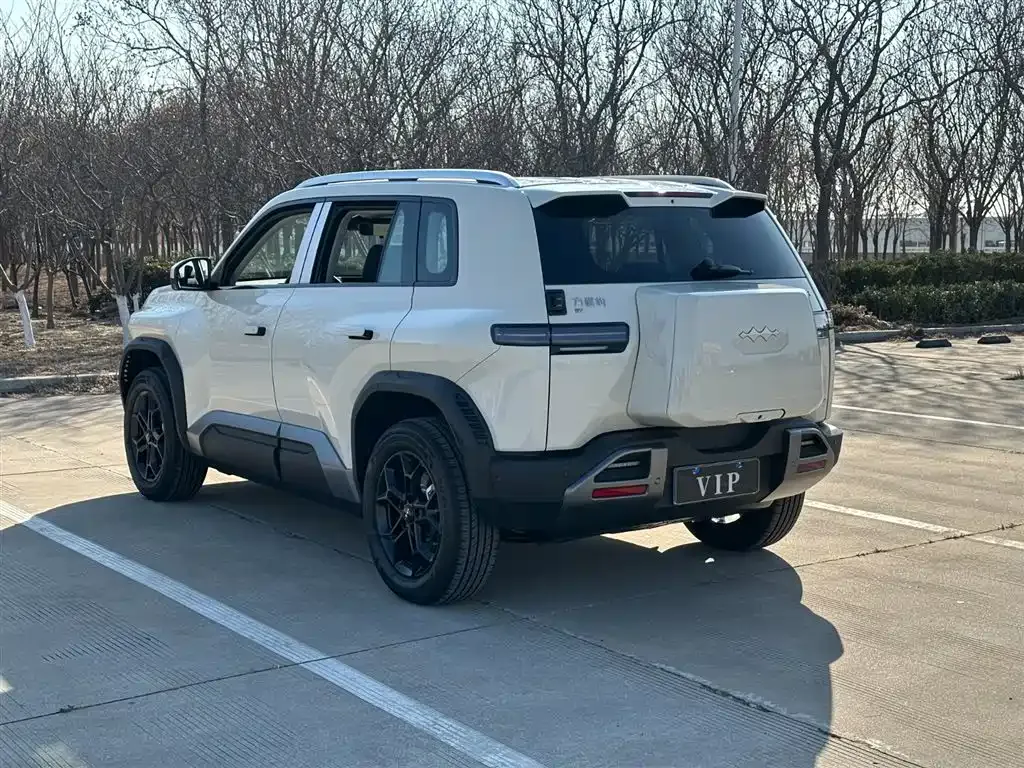 Fang Cheng Bao Titanium 3 2026 из CN, фото 6