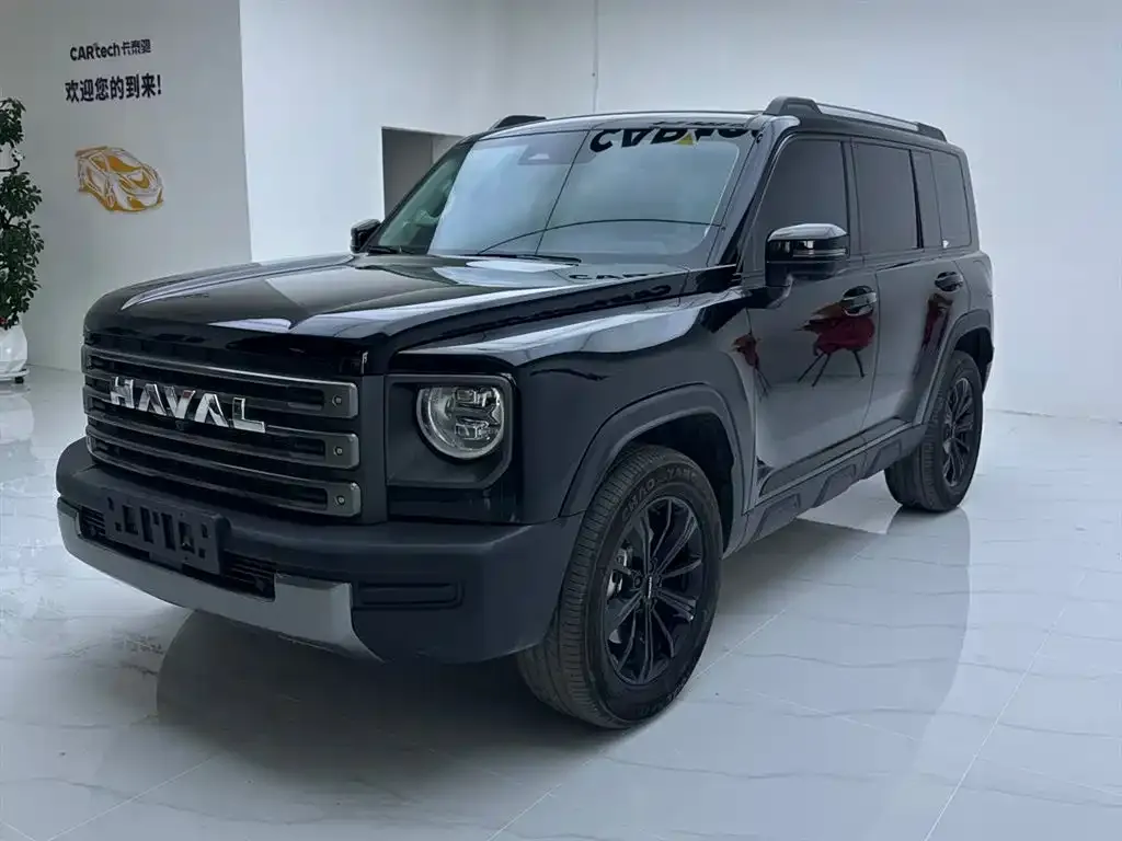 Haval Menglong New Energy 2025 из CN, фото 1