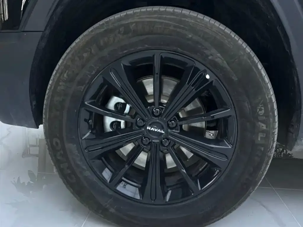 Haval Menglong New Energy 2025 из CN, фото 2