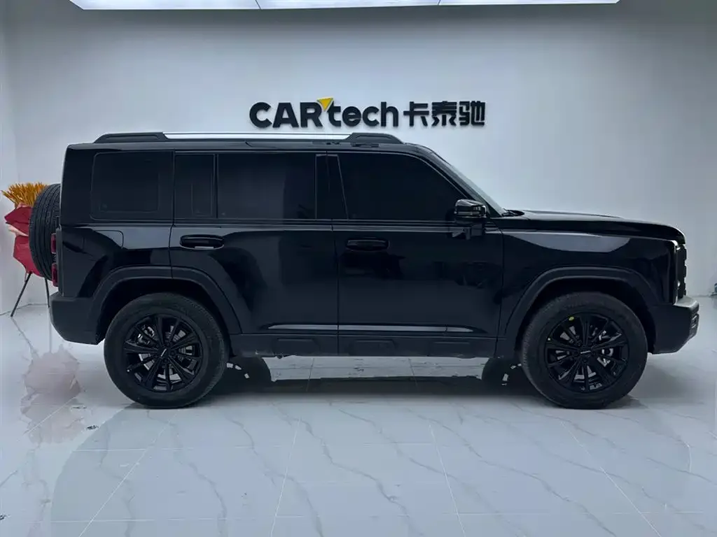 Haval Menglong New Energy 2025 из CN, фото 5