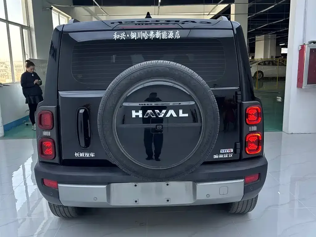 Haval Menglong New Energy 2025 из CN, фото 9