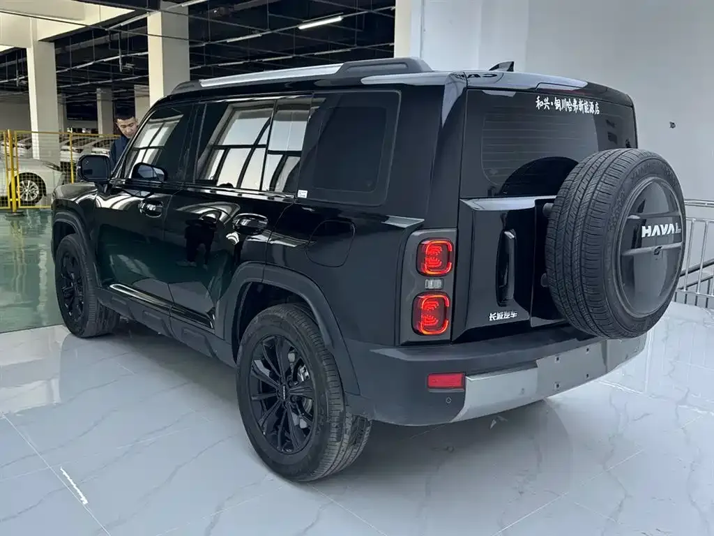 Haval Menglong New Energy 2025 из CN, фото 6