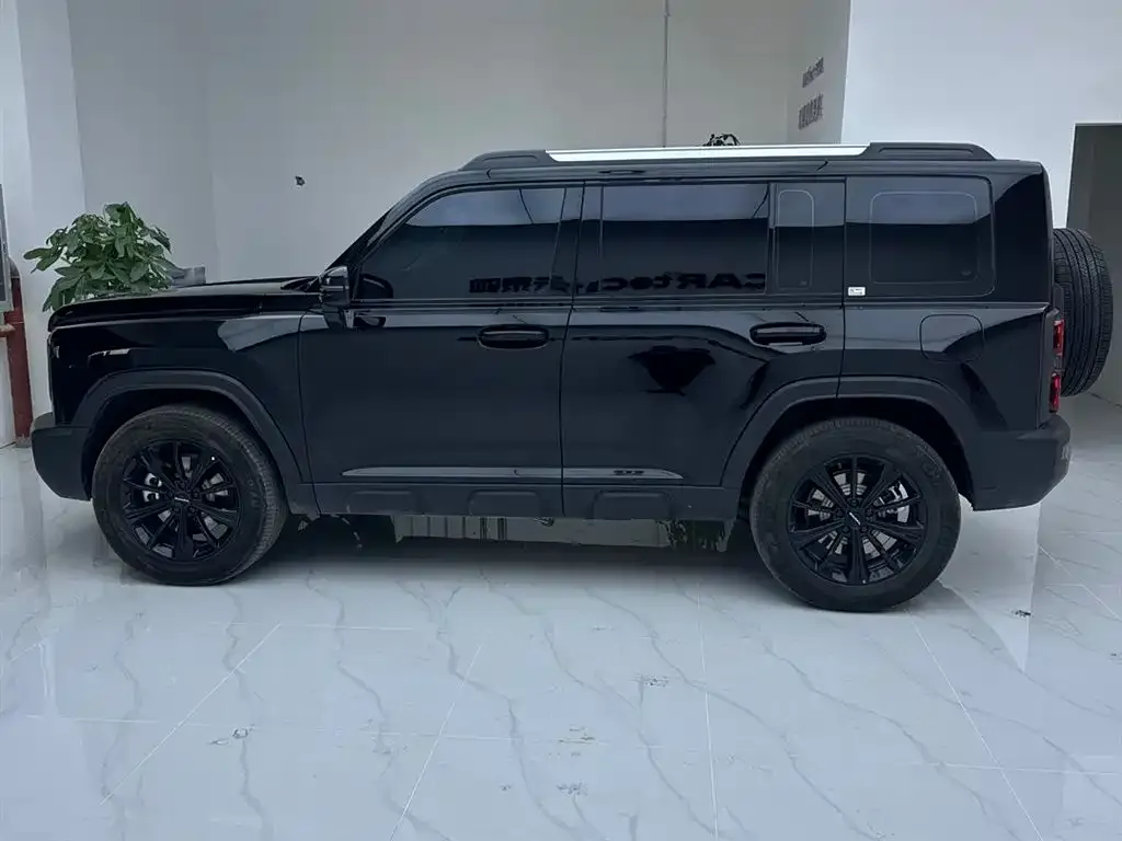 Haval Menglong New Energy 2025 из CN, фото 3