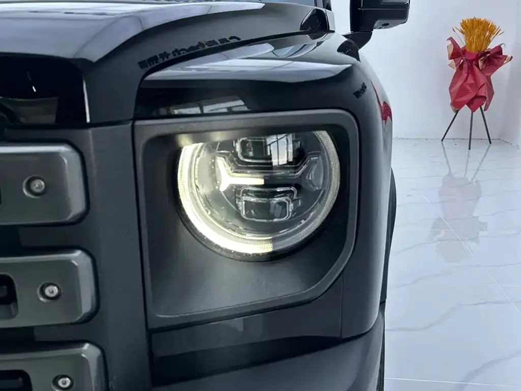 Haval Menglong New Energy 2025 из CN, фото 8