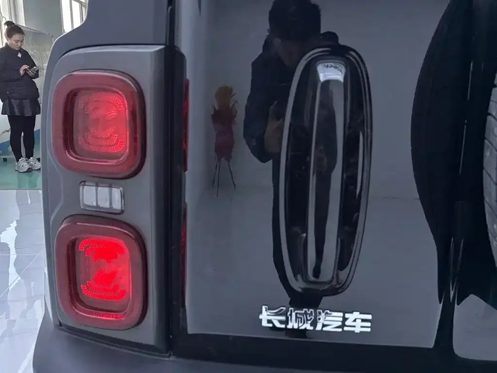 Haval Menglong New Energy 2025 из CN, фото 10