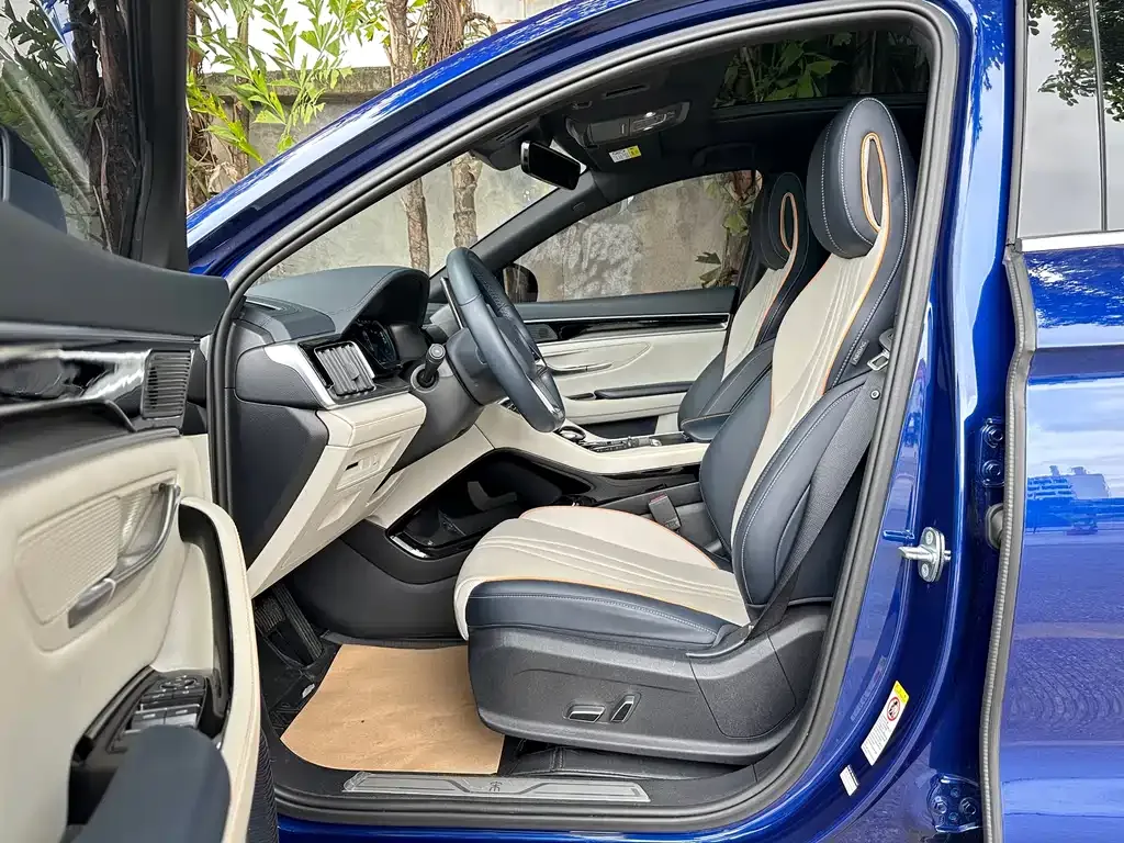 BYD PLUS New Energy — фото 8