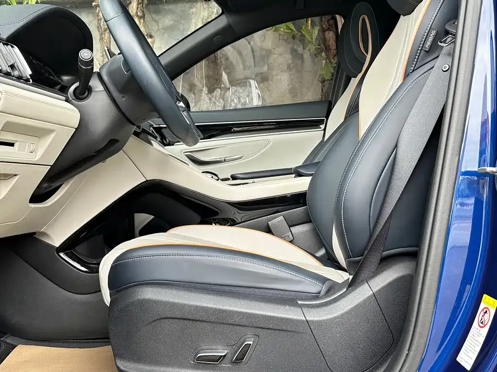 BYD PLUS New Energy — фото 2