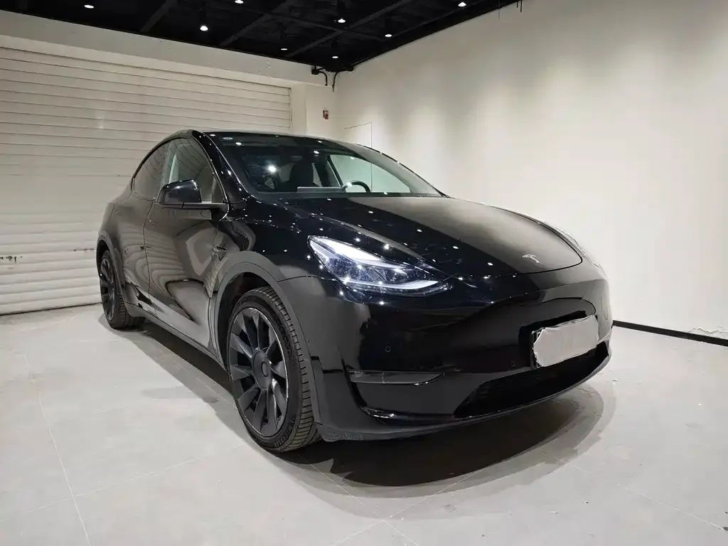 Tesla Model Y 2023 из CN, фото 6