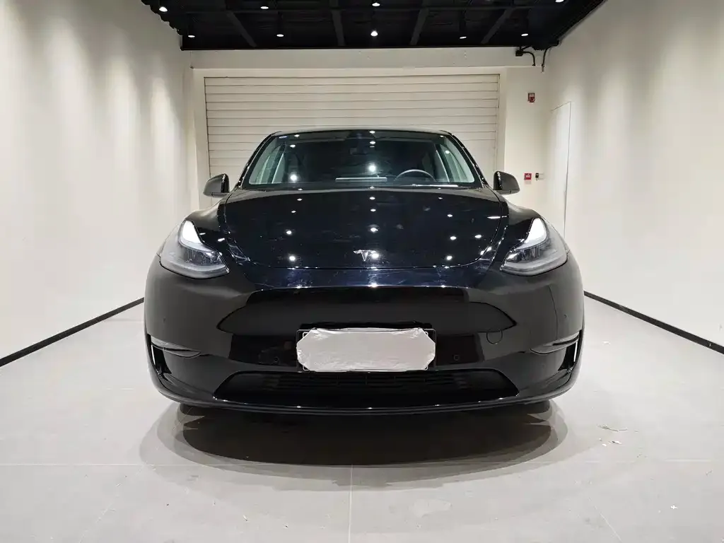 Tesla Model Y 2023 из CN, фото 3