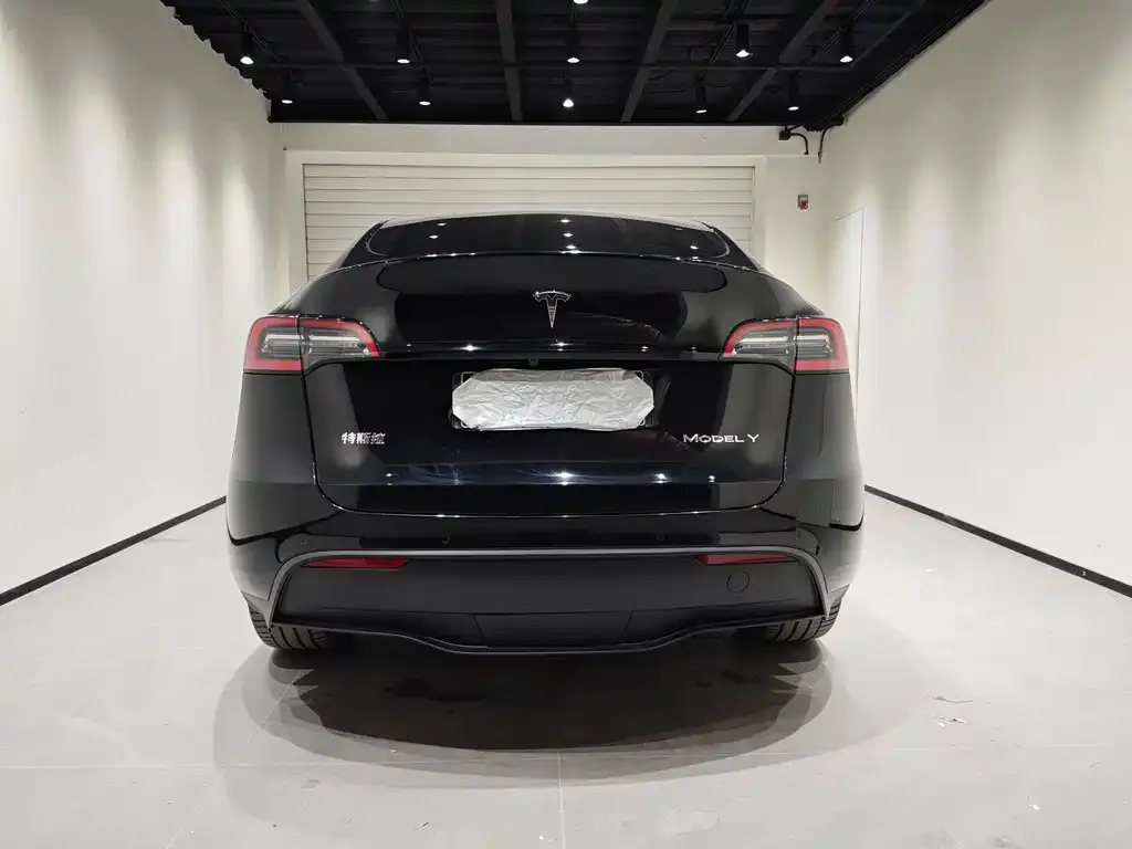 Tesla Model Y 2023 из CN, фото 8