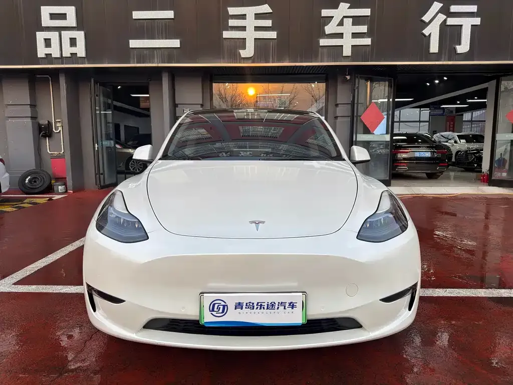 Tesla Model Y — фото 1