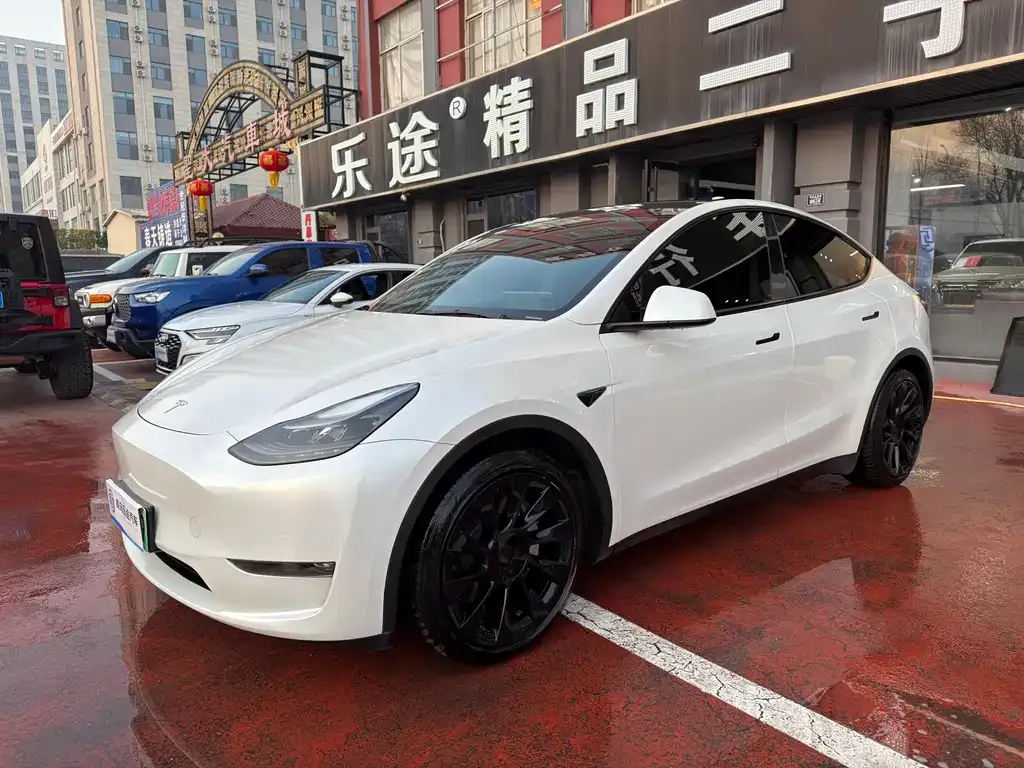 Tesla Model Y — фото 10