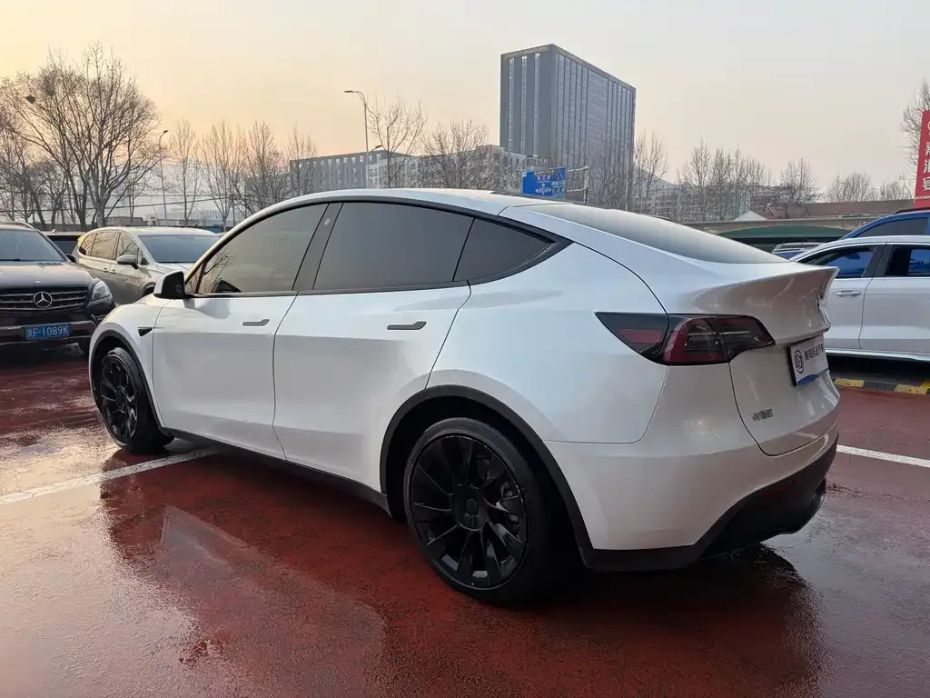 Tesla Model Y — фото 9
