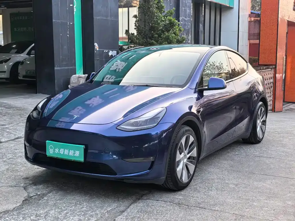 Tesla Model Y — фото 1