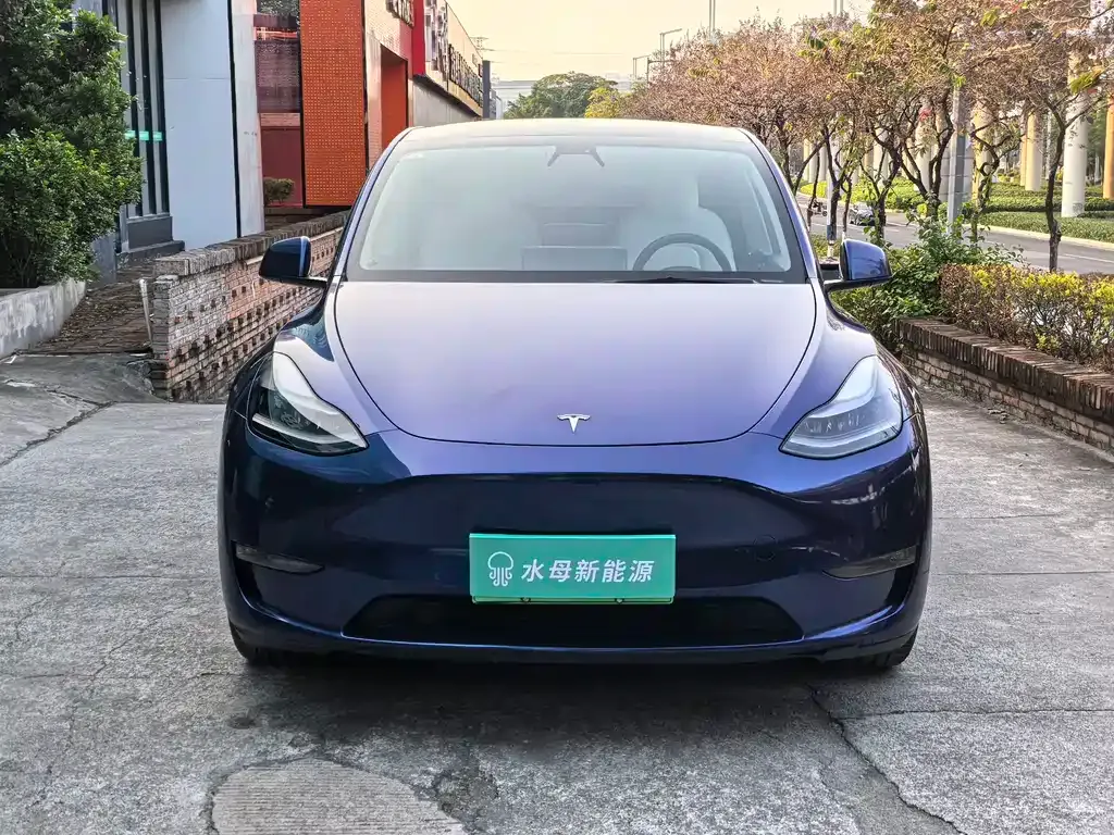 Tesla Model Y — фото 9