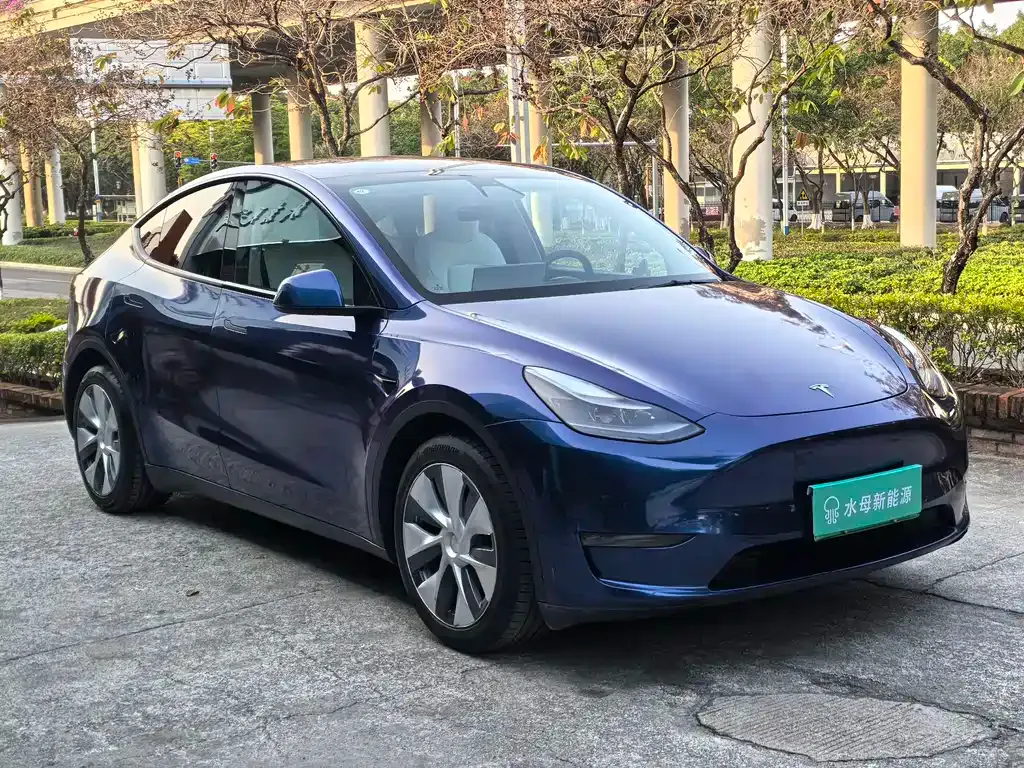 Tesla Model Y — фото 6