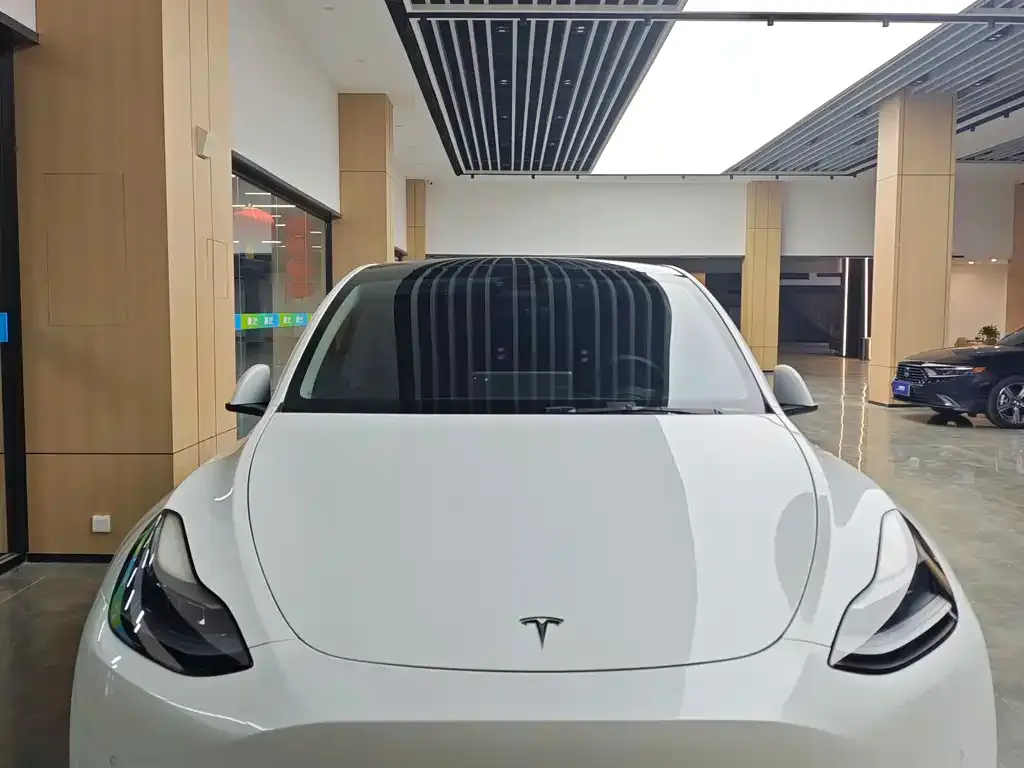 Tesla Model Y 2022 из CN, фото 1